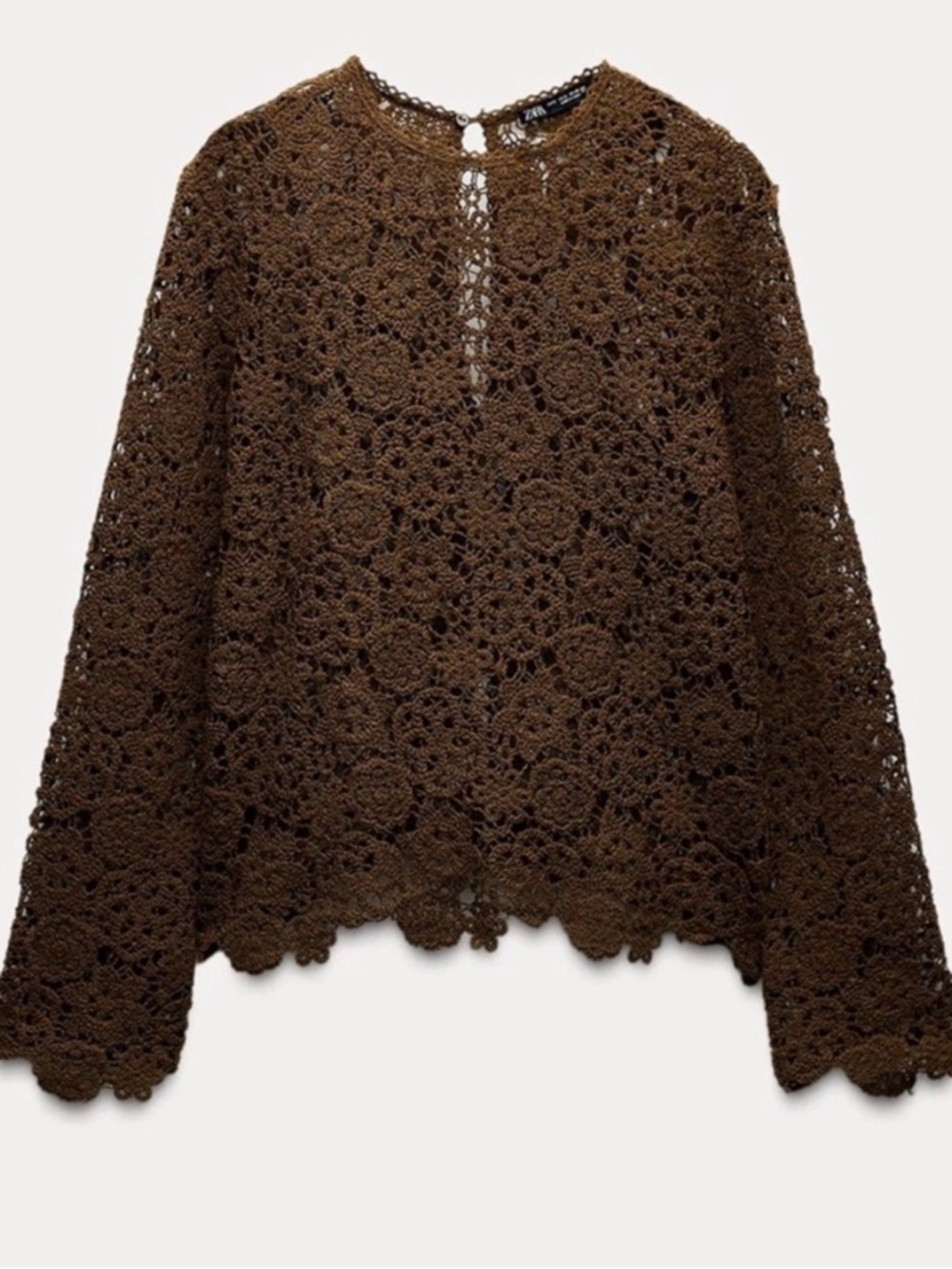 Zara Brown Crochet Lace Long-Sleeve Top - Picture 2 of 4